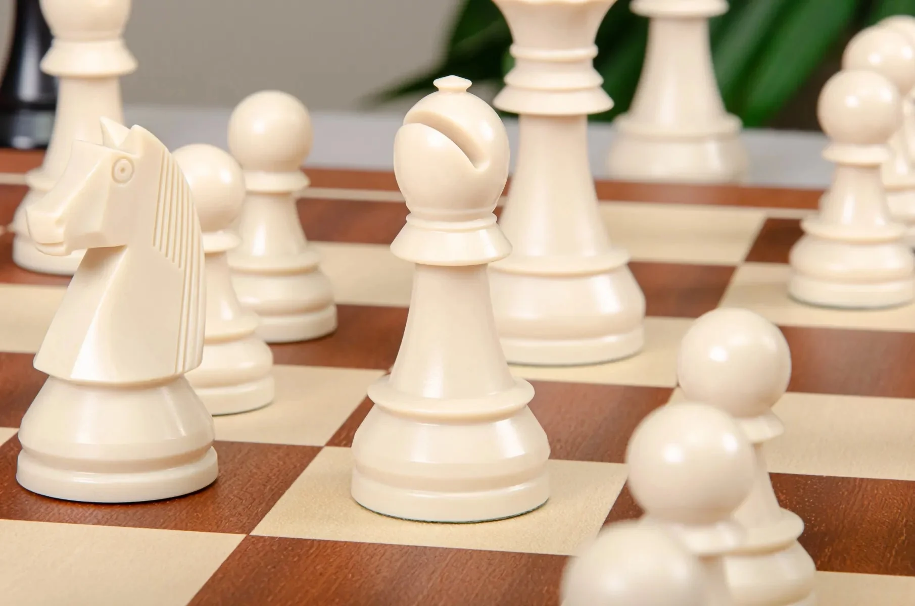 The German Series Single Weighted Regulation Plastic Chess Pieces - 3.75" King - Image 7