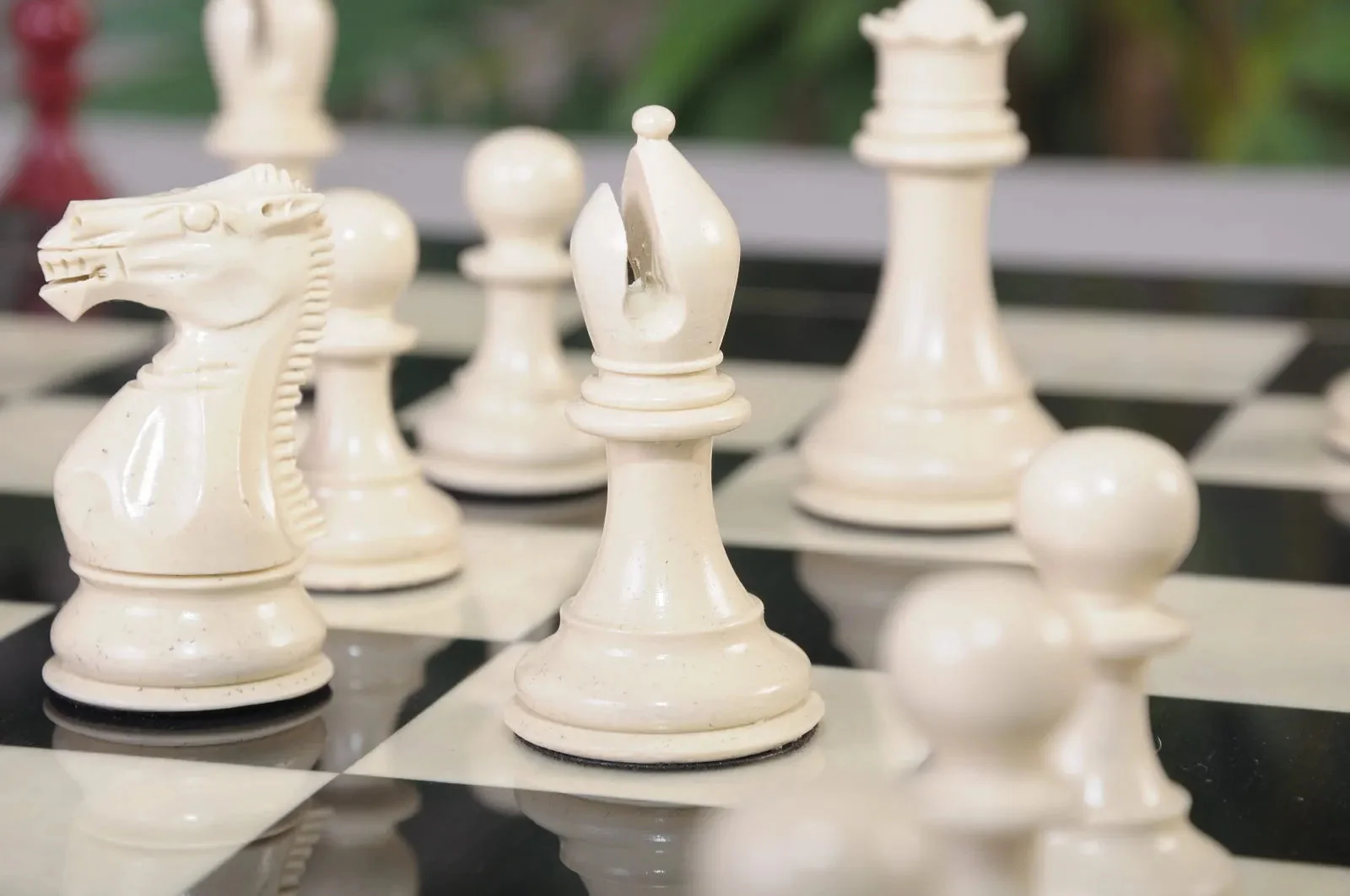 Staunton Themed Chess Pieces - Red & Natural - Image 6