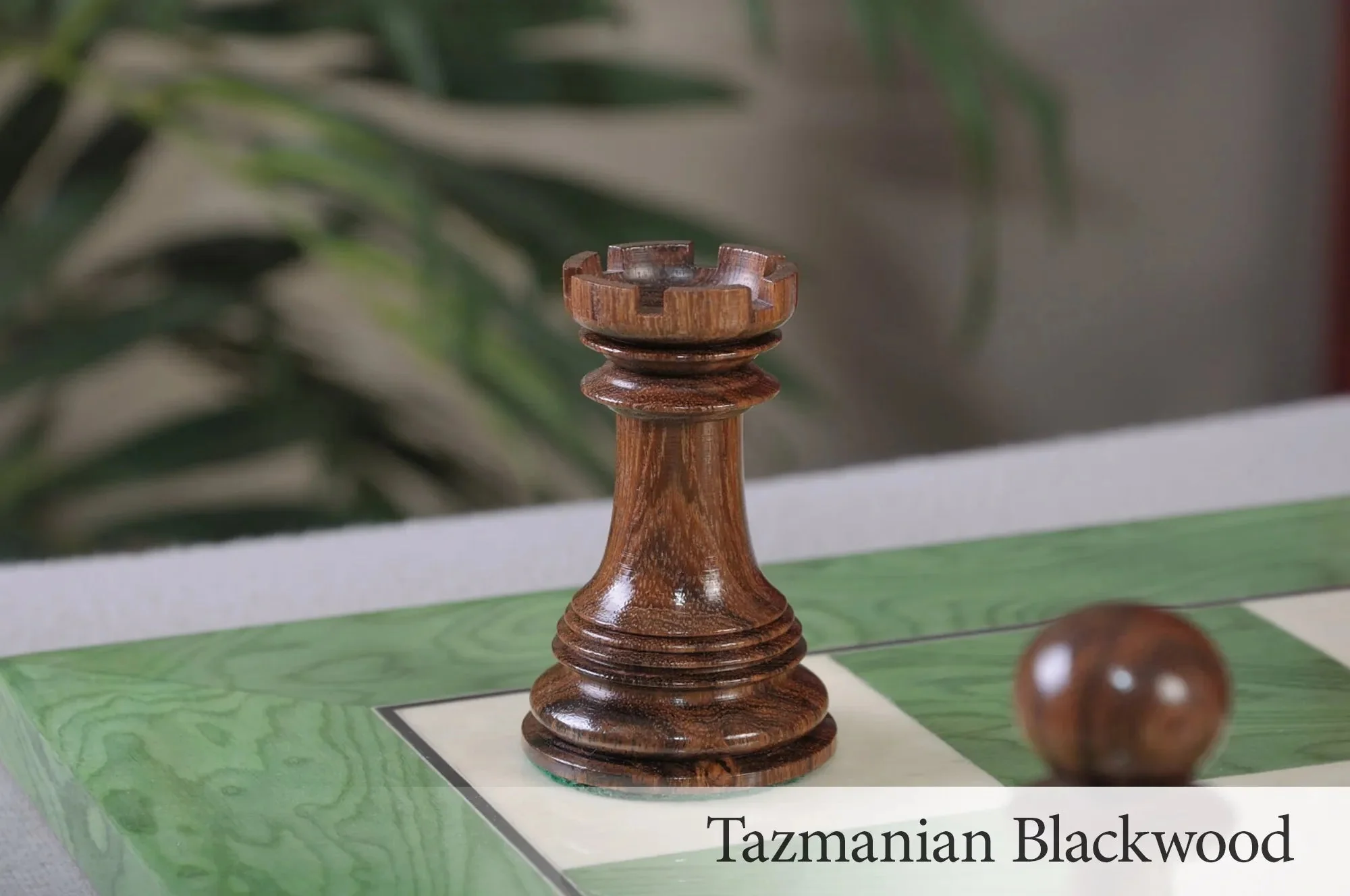 Tazmanian Blackwood and Natural Boxwood - Image 3