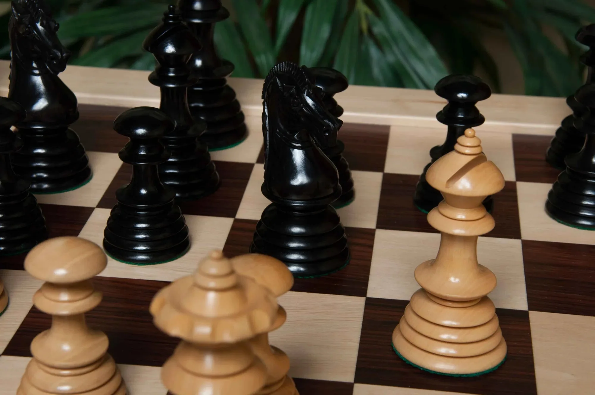 Genuine Ebony and Natural Boxwood - Image 8