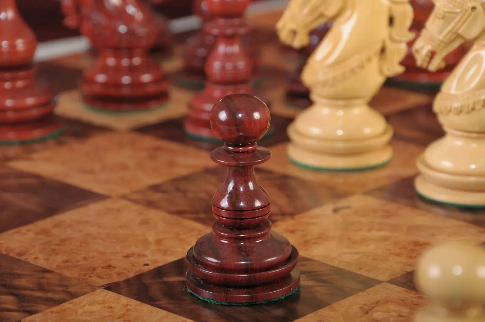 Blood Rosewood and Natural Boxwood - Image 8