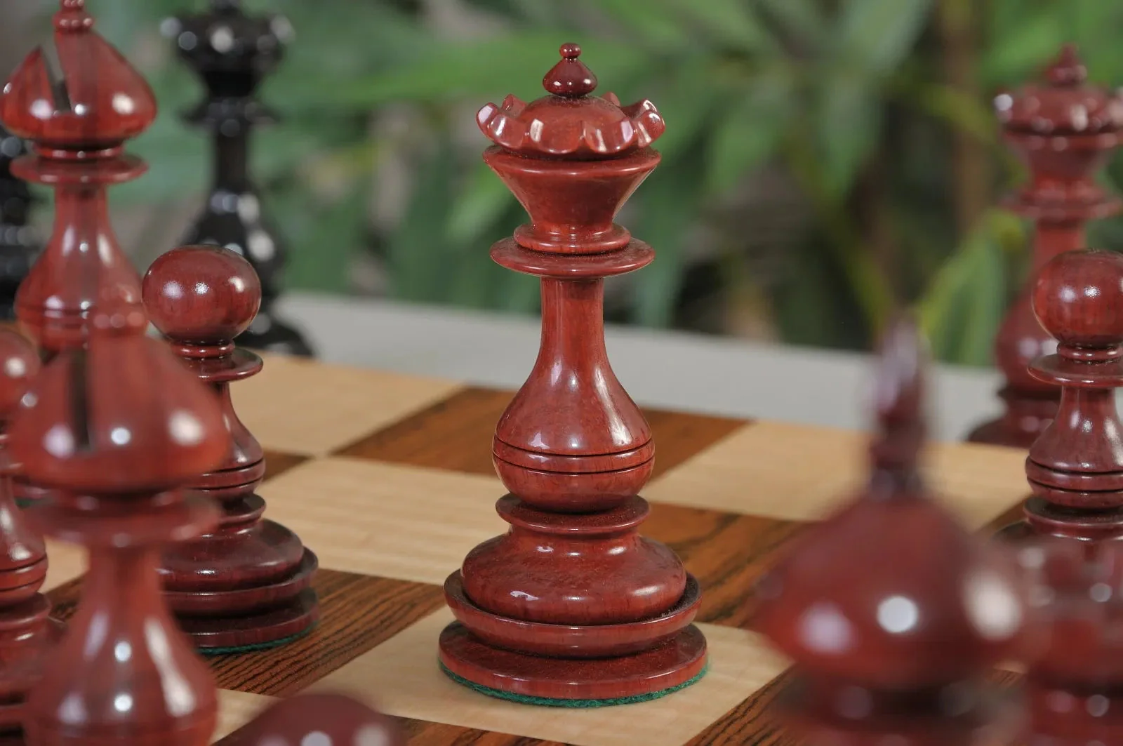 Blood Rosewood and Genuine Ebony - Image 2