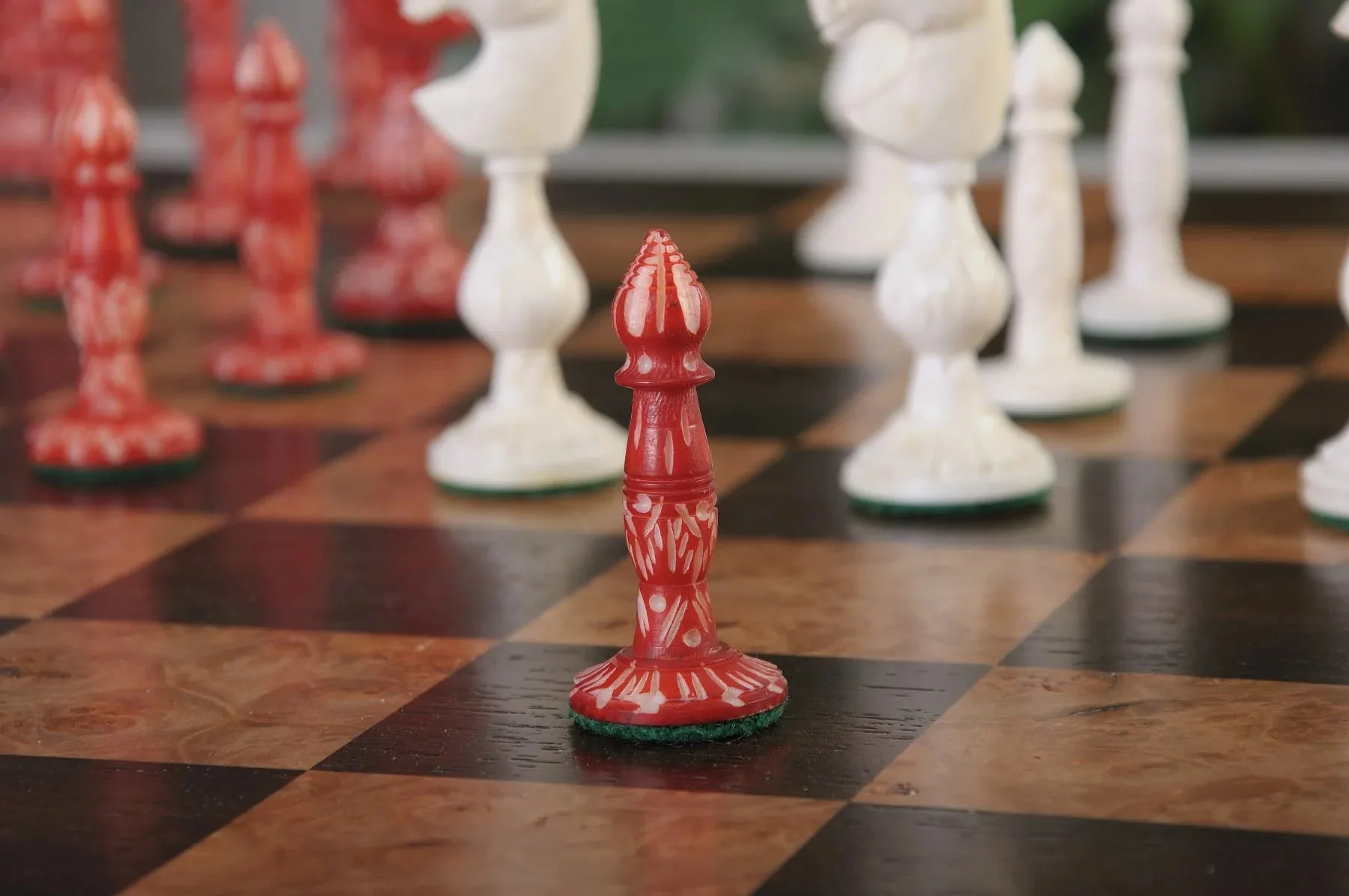 Red and Natural Bone - Image 7