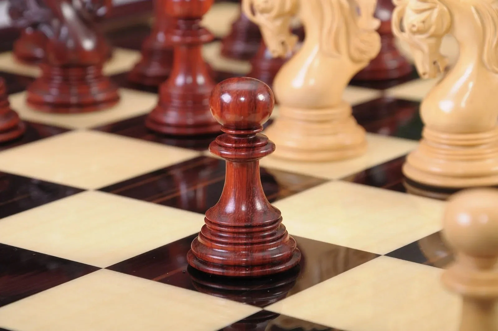 Blood Rosewood and Natural Boxwood - Image 8
