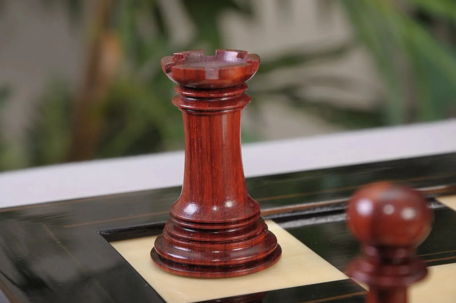 Blood Rosewood and Natural Boxwood - Image 10
