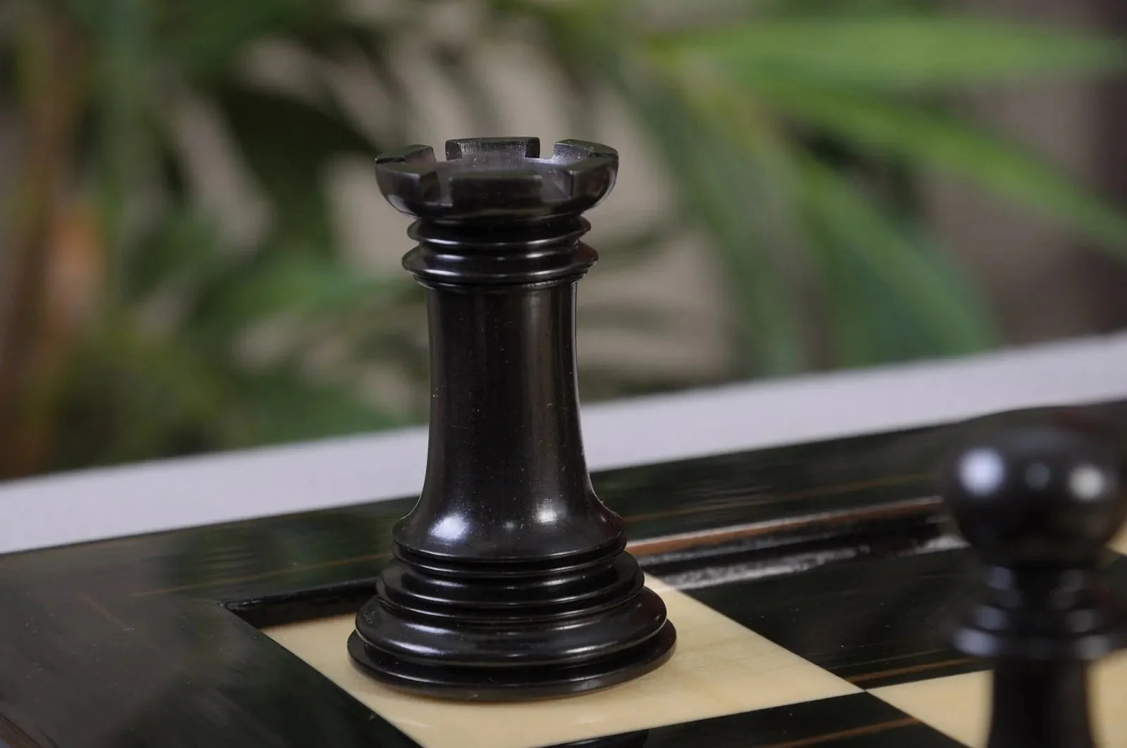 Genuine Ebony and Natural Boxwood - Image 10