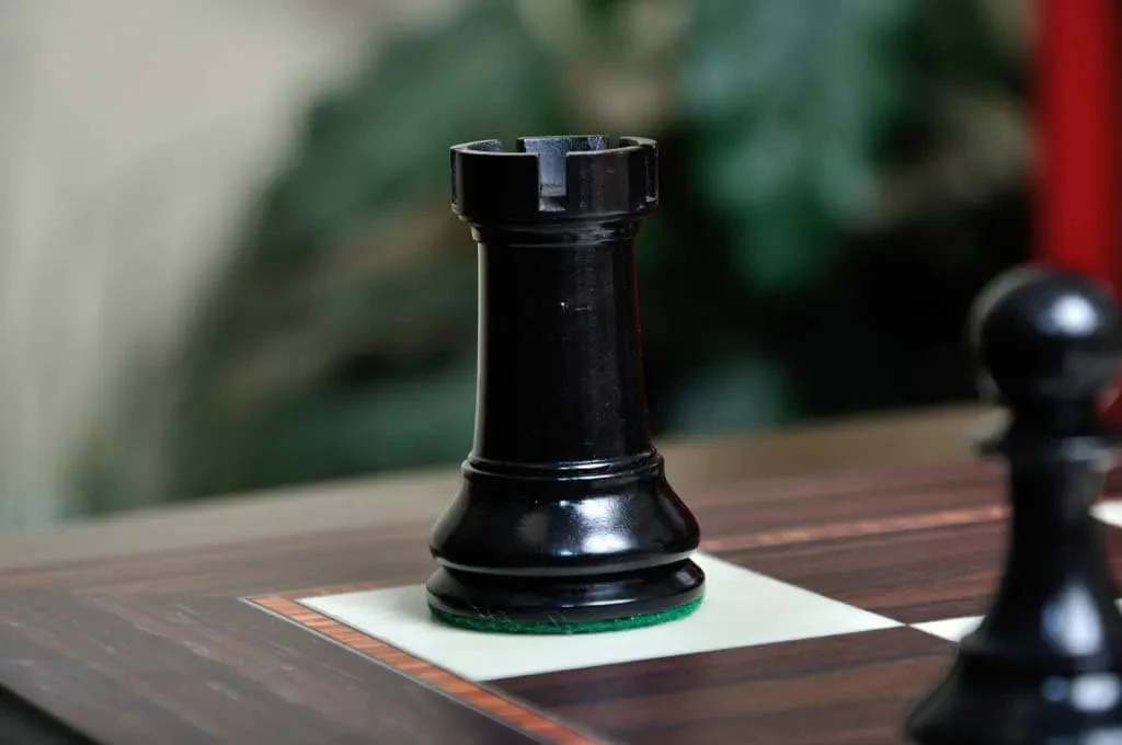 Ebonized Boxwood and Natural Boxwood - Image 17