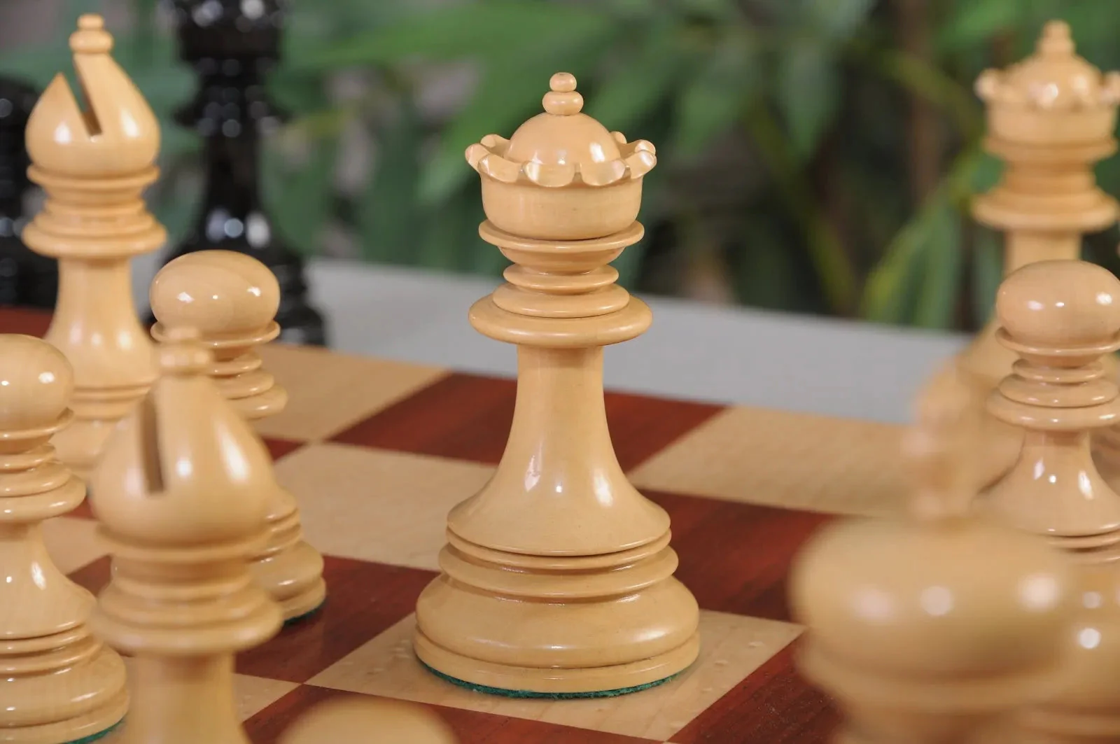 Genuine Ebony and Natural Boxwood - Image 4