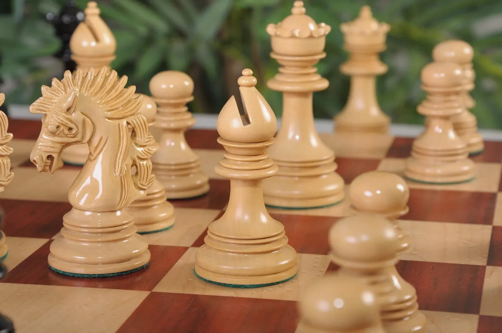 Genuine Ebony and Natural Boxwood - Image 5
