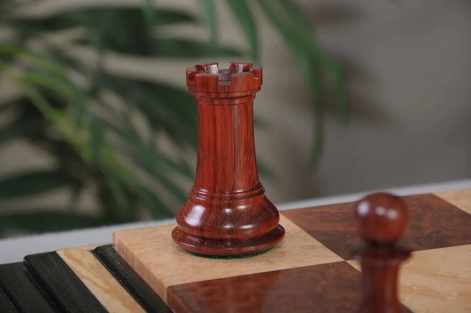 Blood Rosewood and Natural Boxwood - Image 9