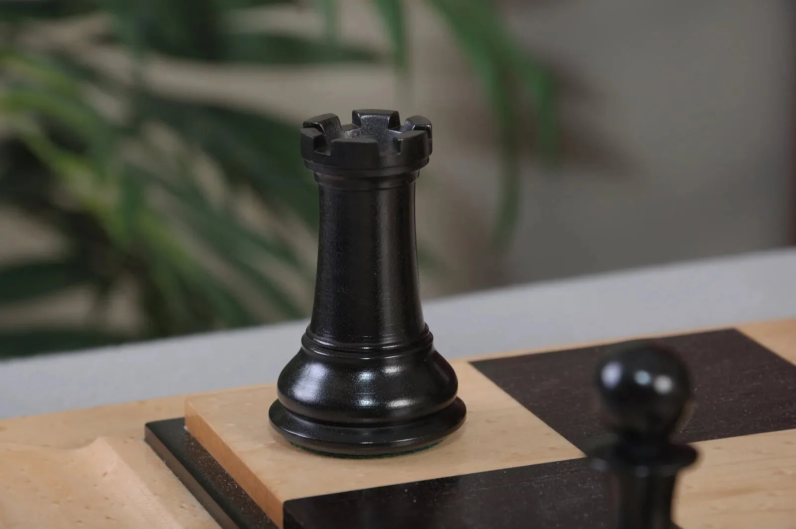 Genuine Ebony and Natural Boxwood - Image 9