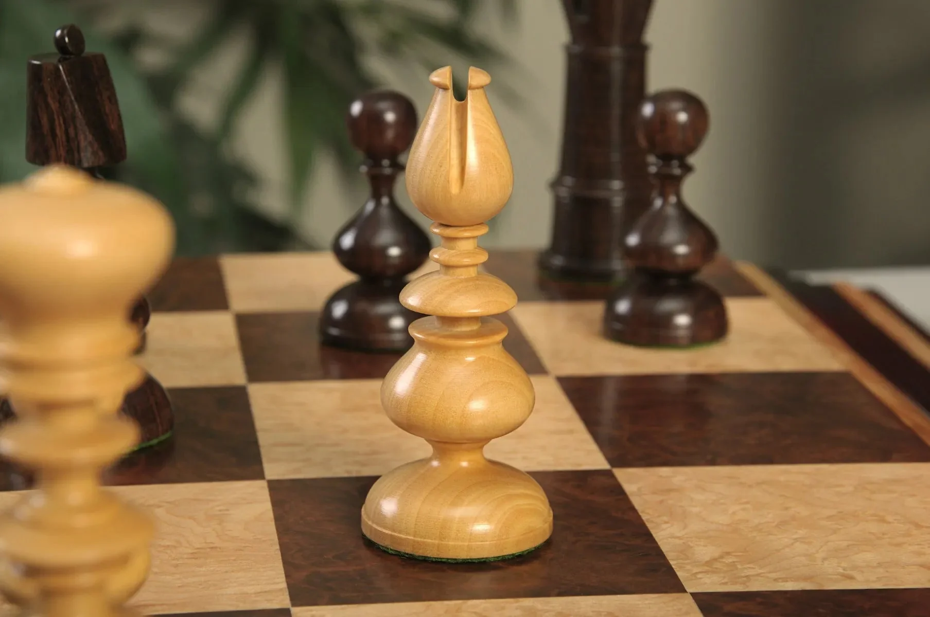 Tasmanian Blackwood and Natural Boxwood - Image 15