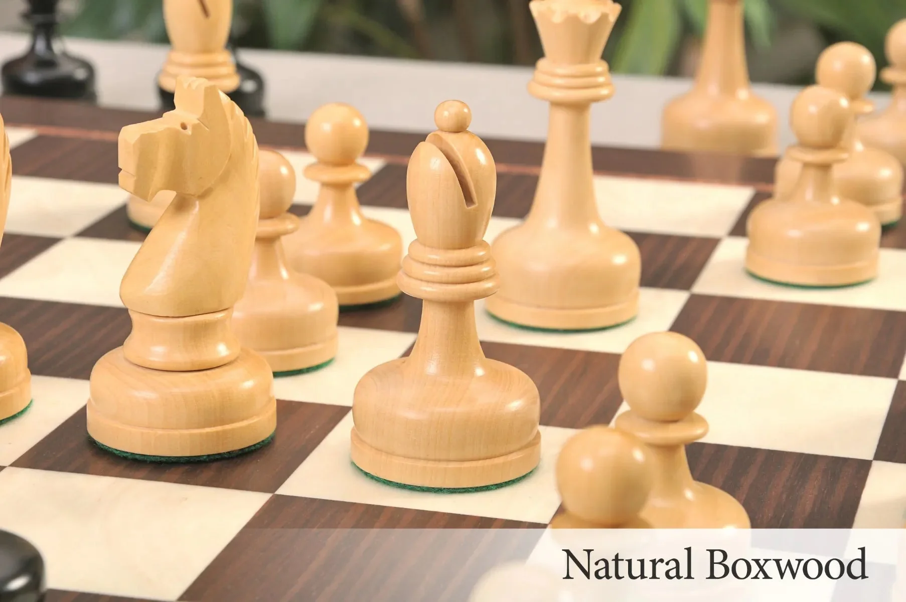 Ebonized Boxwood and Natural Boxwood - Image 5