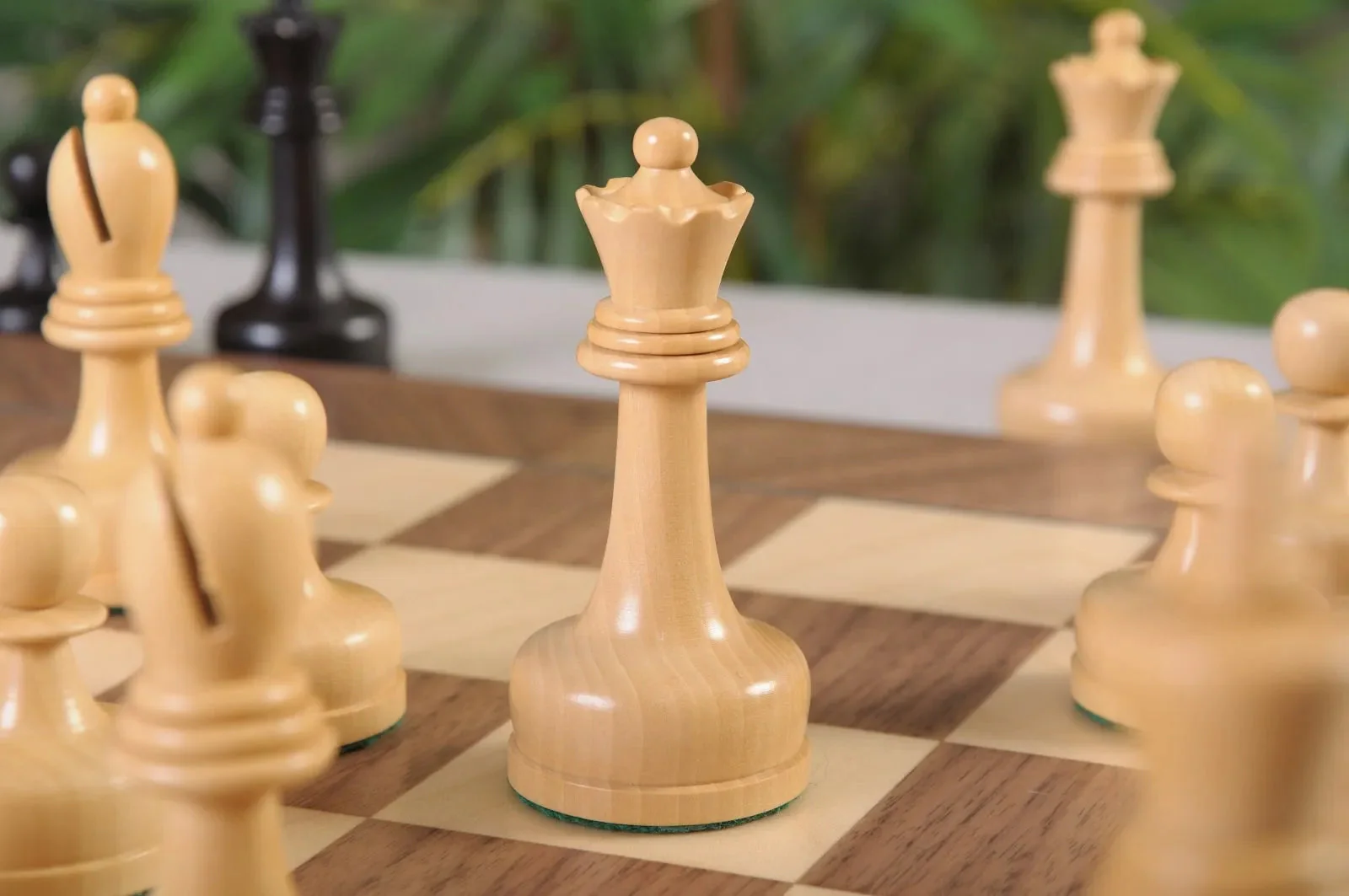 Genuine Ebony and Natural Boxwood - Image 2