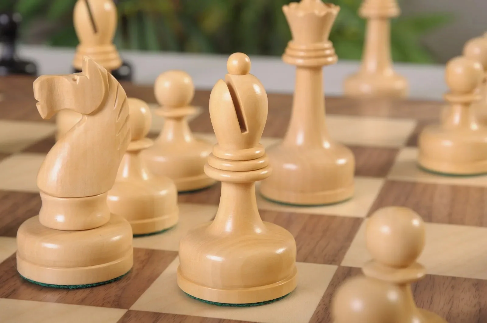 Genuine Ebony and Natural Boxwood - Image 5