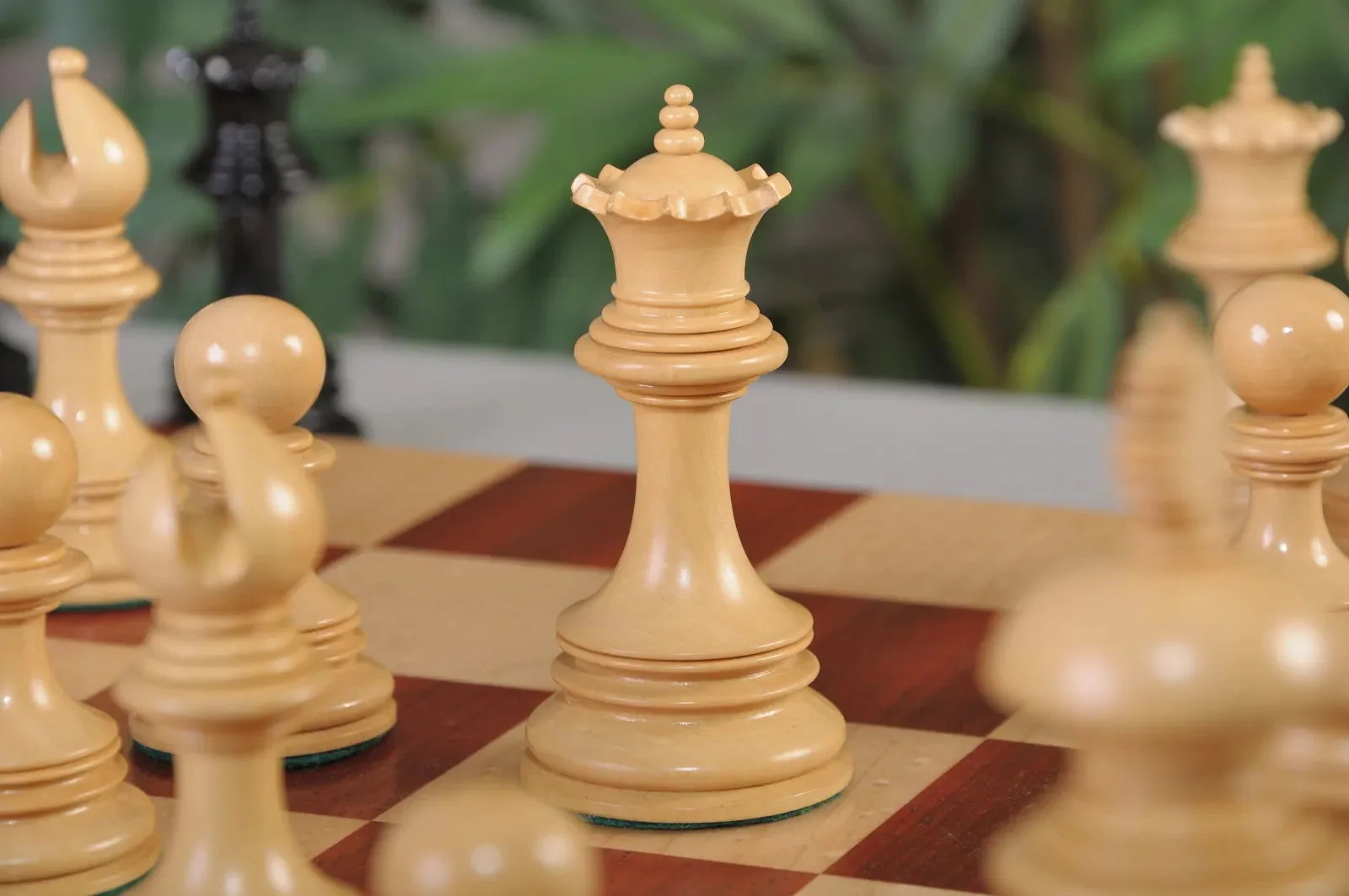 Genuine Ebony and Natural Boxwood - Image 2