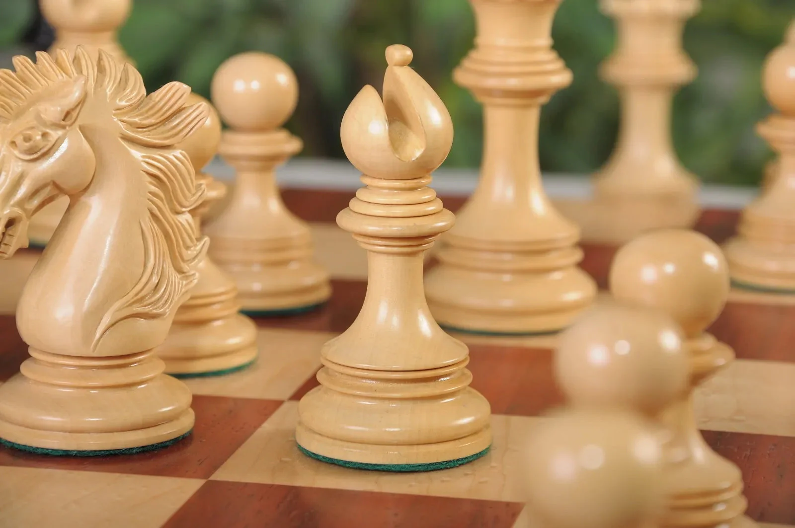 Genuine Ebony and Natural Boxwood - Image 4