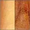 Golden Rosewood and Natural Boxwood
