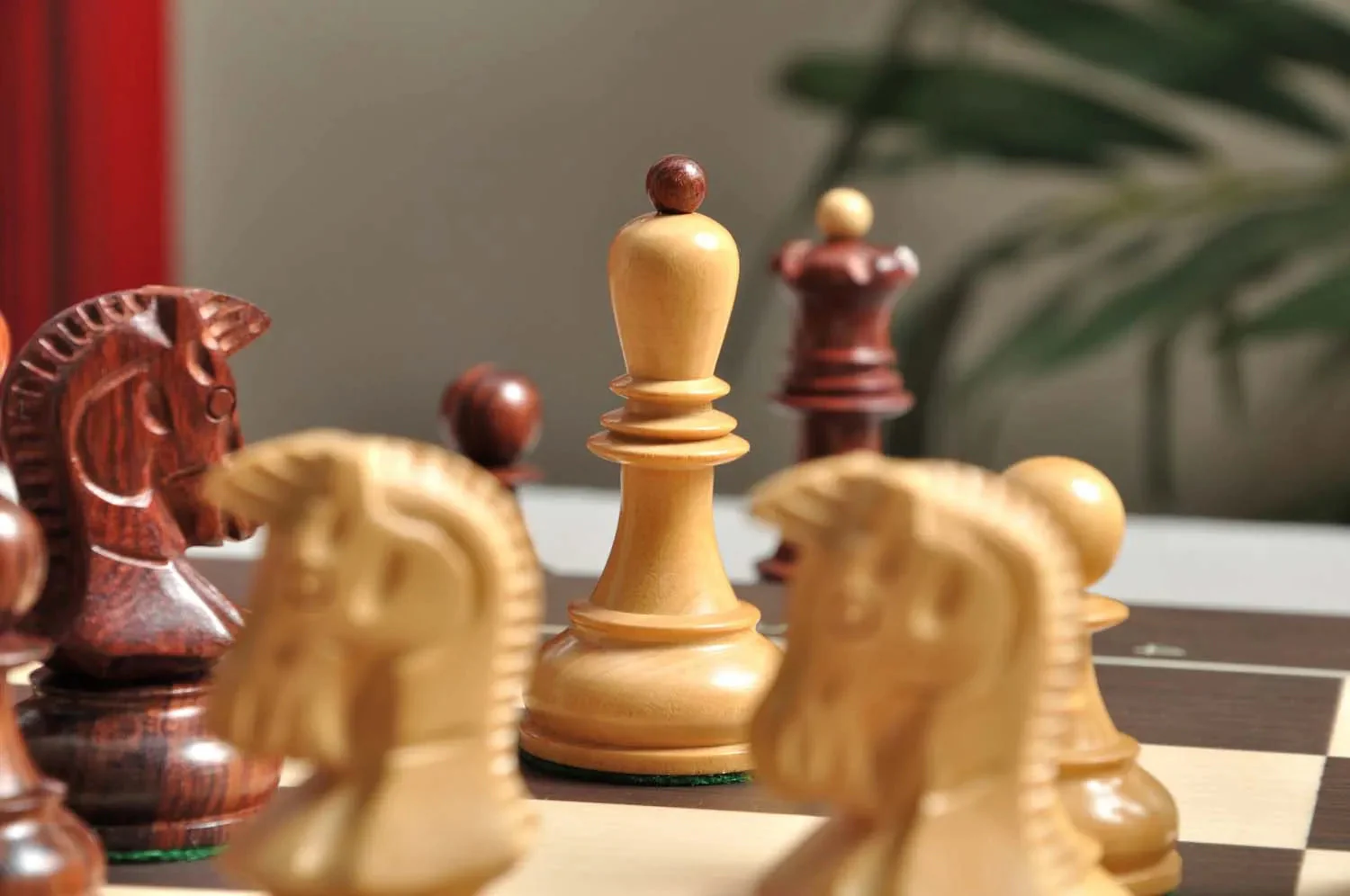 DGT Projects - USB Wenge Board with Dubrovnik Chess Pieces - Image 8