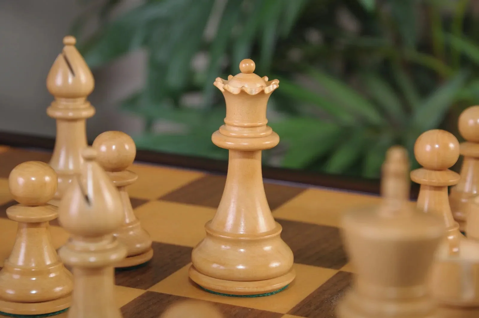 Ebonized Boxwood and Natural Boxwood - Image 3