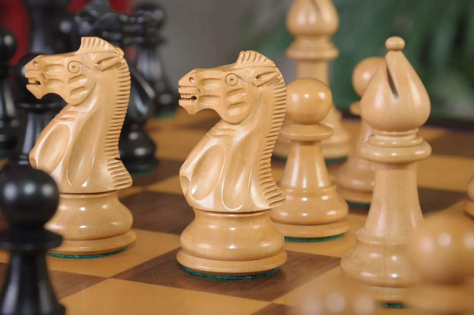 Ebonized Boxwood and Natural Boxwood - Image 4