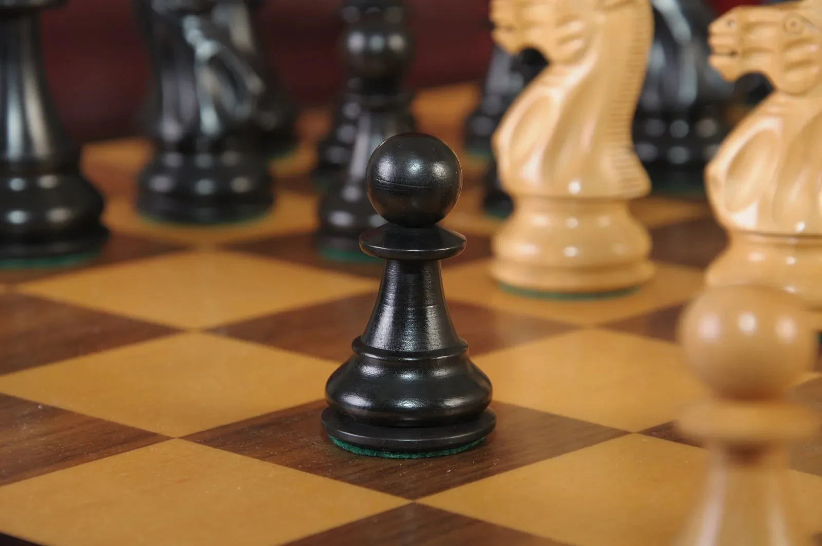 Ebonized Boxwood and Natural Boxwood - Image 5