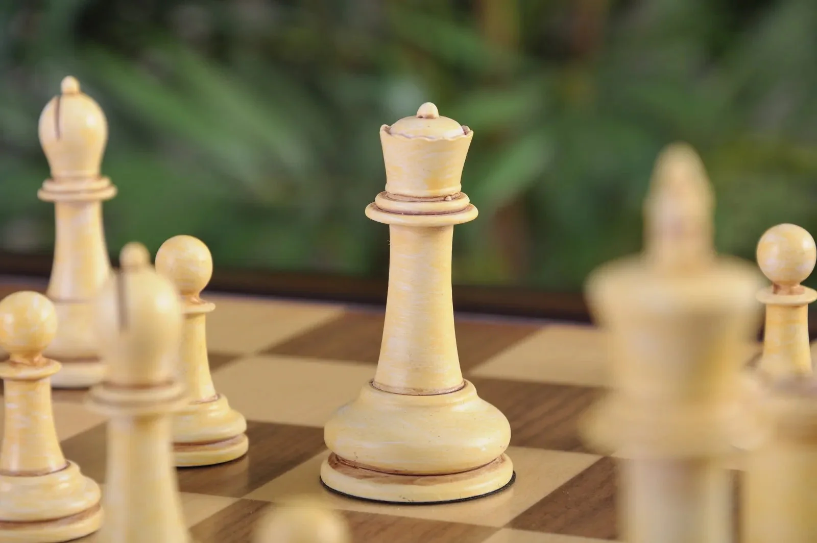 The Classical Staunton Series Chess Set & Tiroir Combination - Image 2