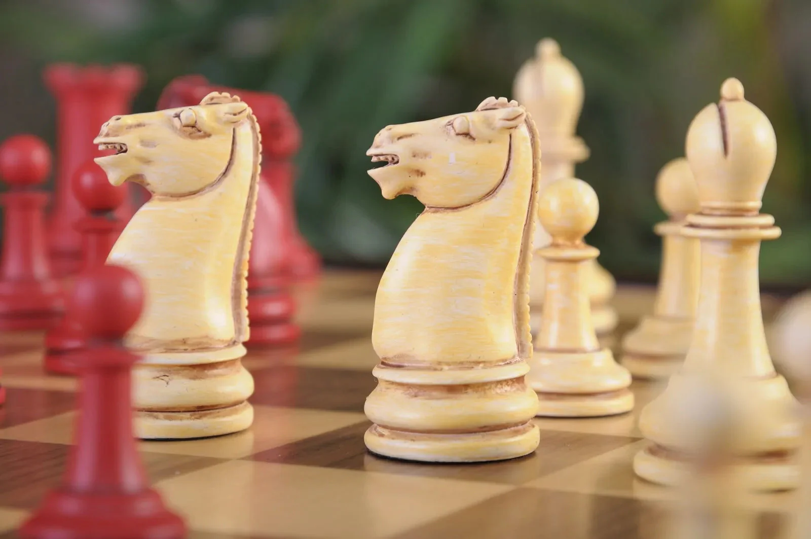 Red and Ivory - Image 6