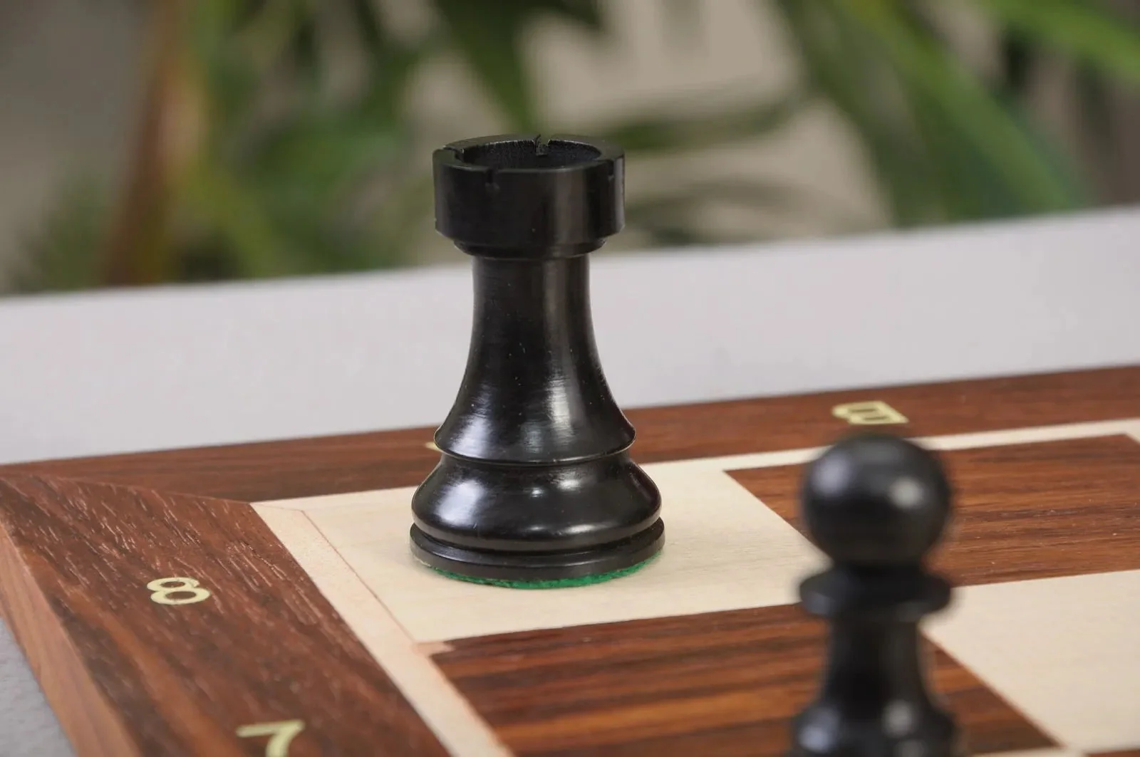 Ebonized Boxwood and Natural Boxwood - Image 9