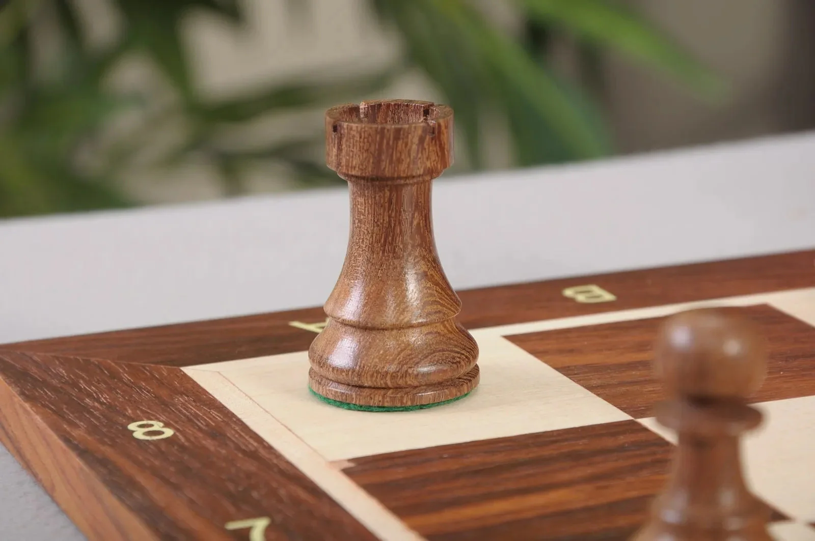 Golden Rosewood and Natural Boxwood - Image 9