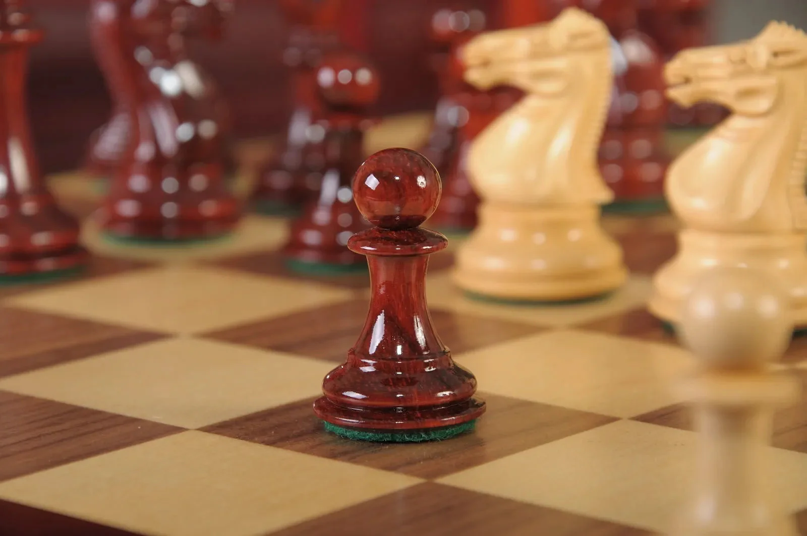 Blood Rosewood and Natural Boxwood - Image 7