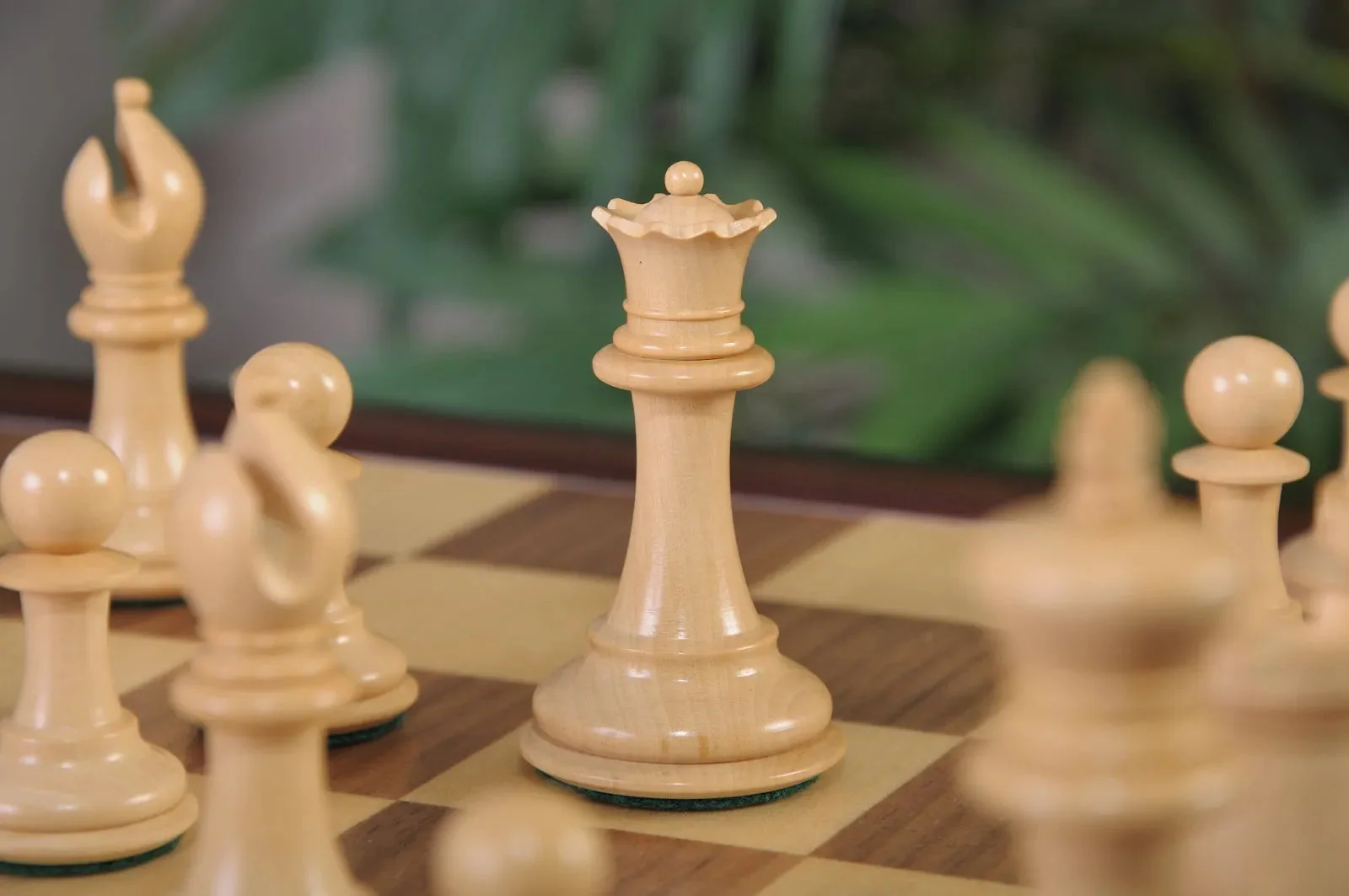 Genuine Ebony and Natural Boxwood - Image 3