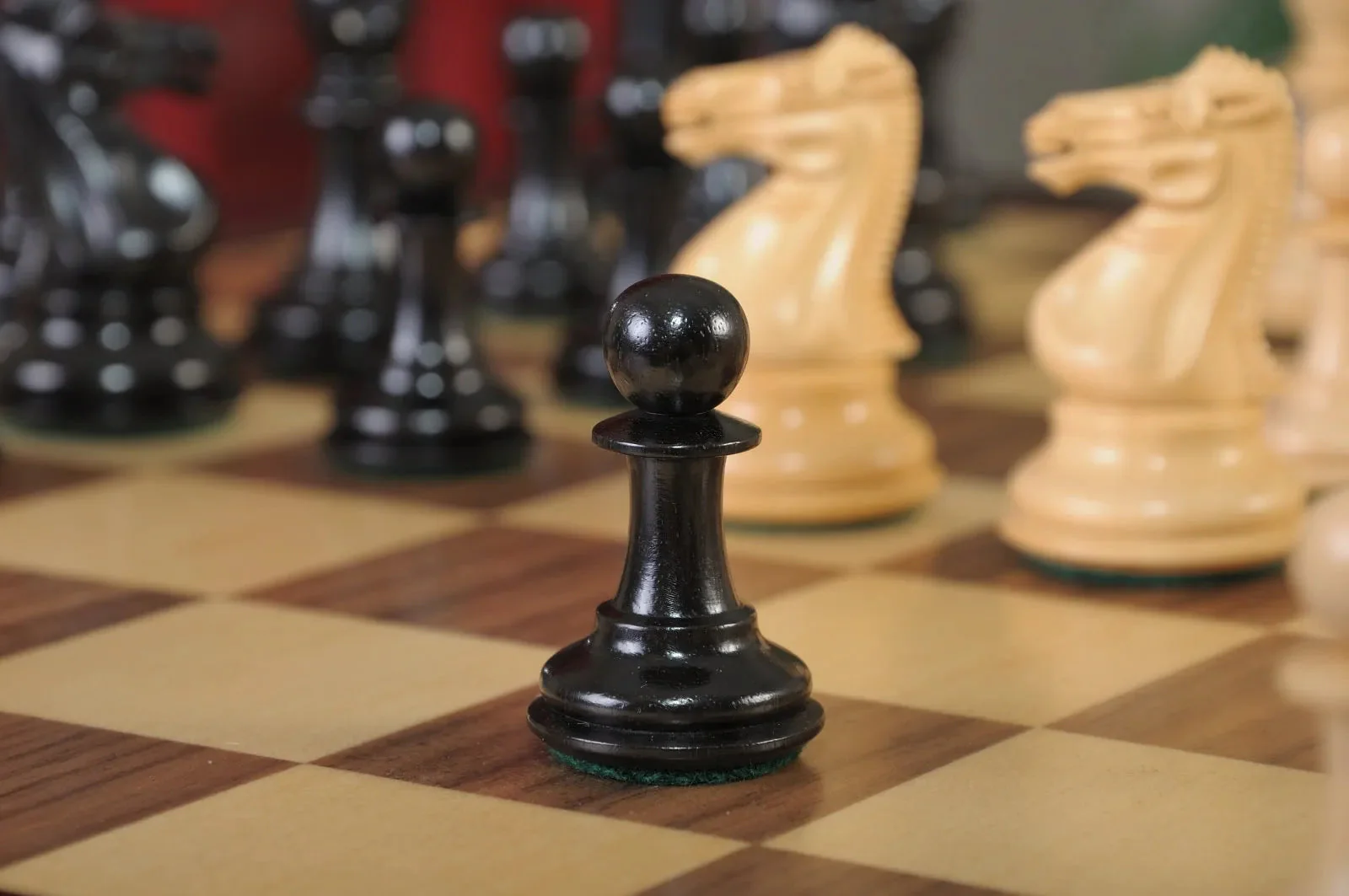 Genuine Ebony and Natural Boxwood - Image 7