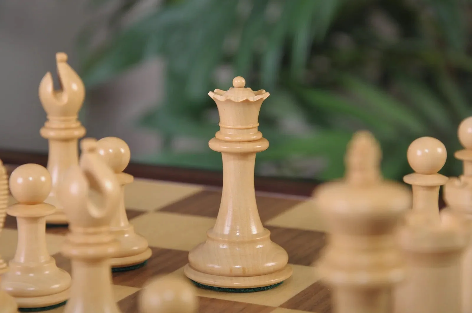 Indian Rosewood and Natural Boxwood - Image 3