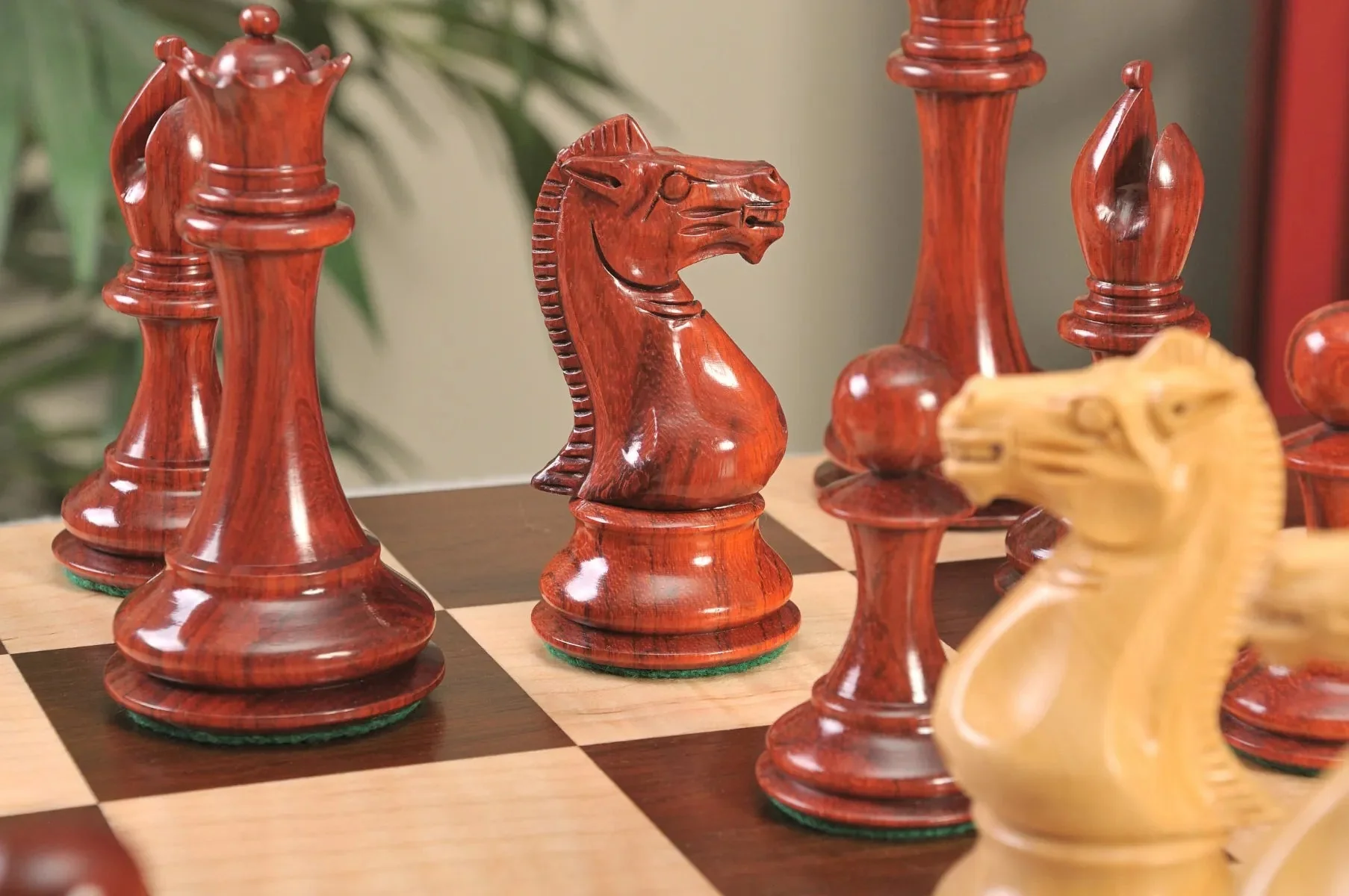 Blood Rosewood and Natural Boxwood - Image 13