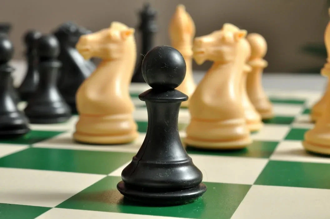 The Collector Series Plastic Chess Pieces - 3.75" King - Image 20