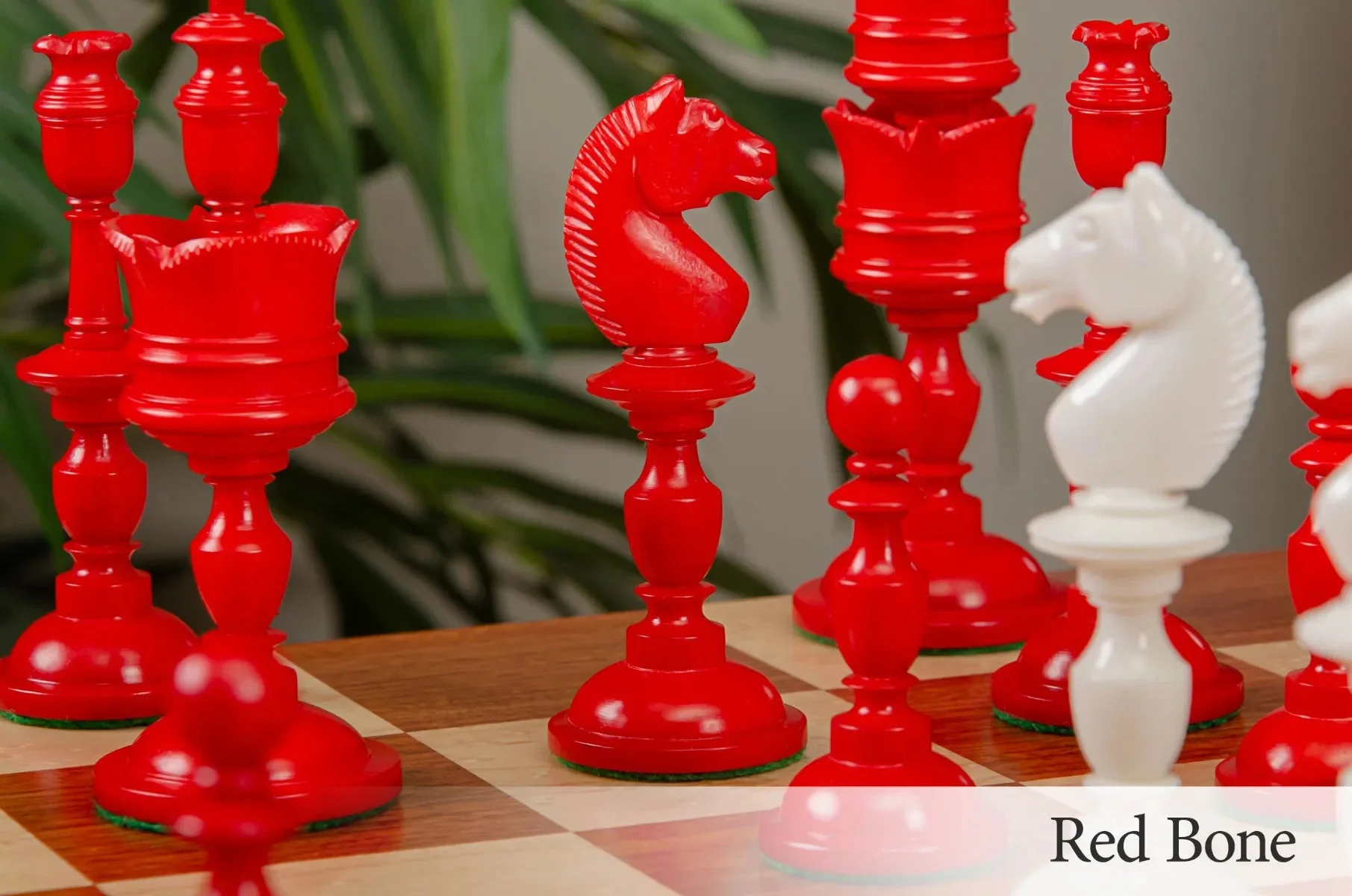The Cologne Luxury Bone Chess Pieces - 6.0" King - Image 6