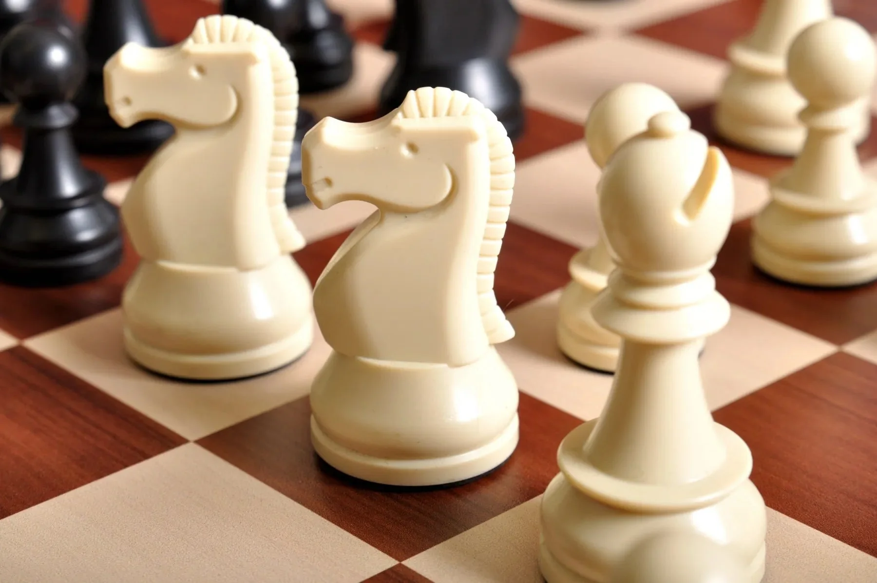 The DGT Smart Chess Board With Notation with Black and White Plastic Chess Pieces - Image 2