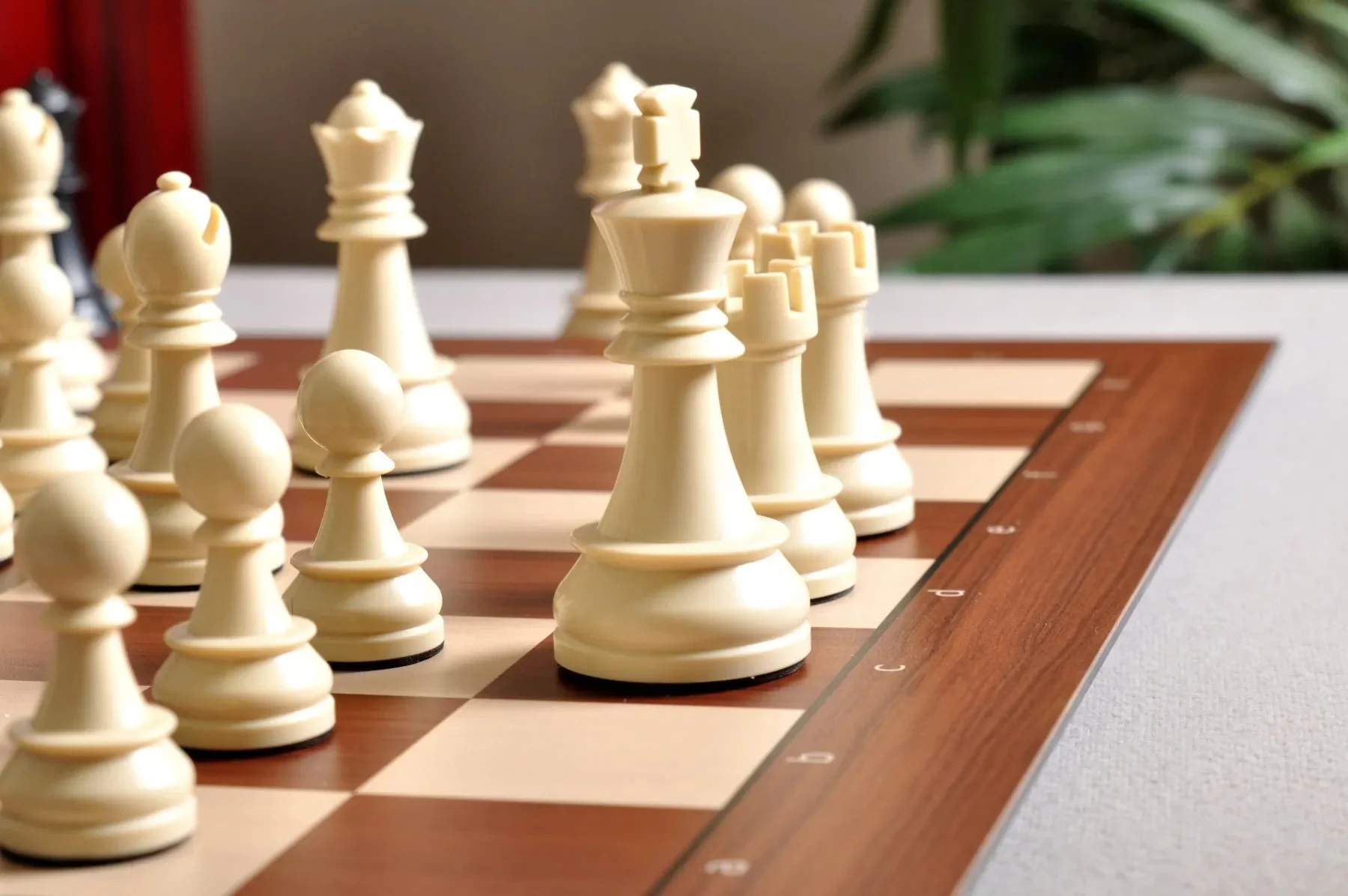 The DGT Smart Chess Board With Notation with Black and White Plastic Chess Pieces - Image 5