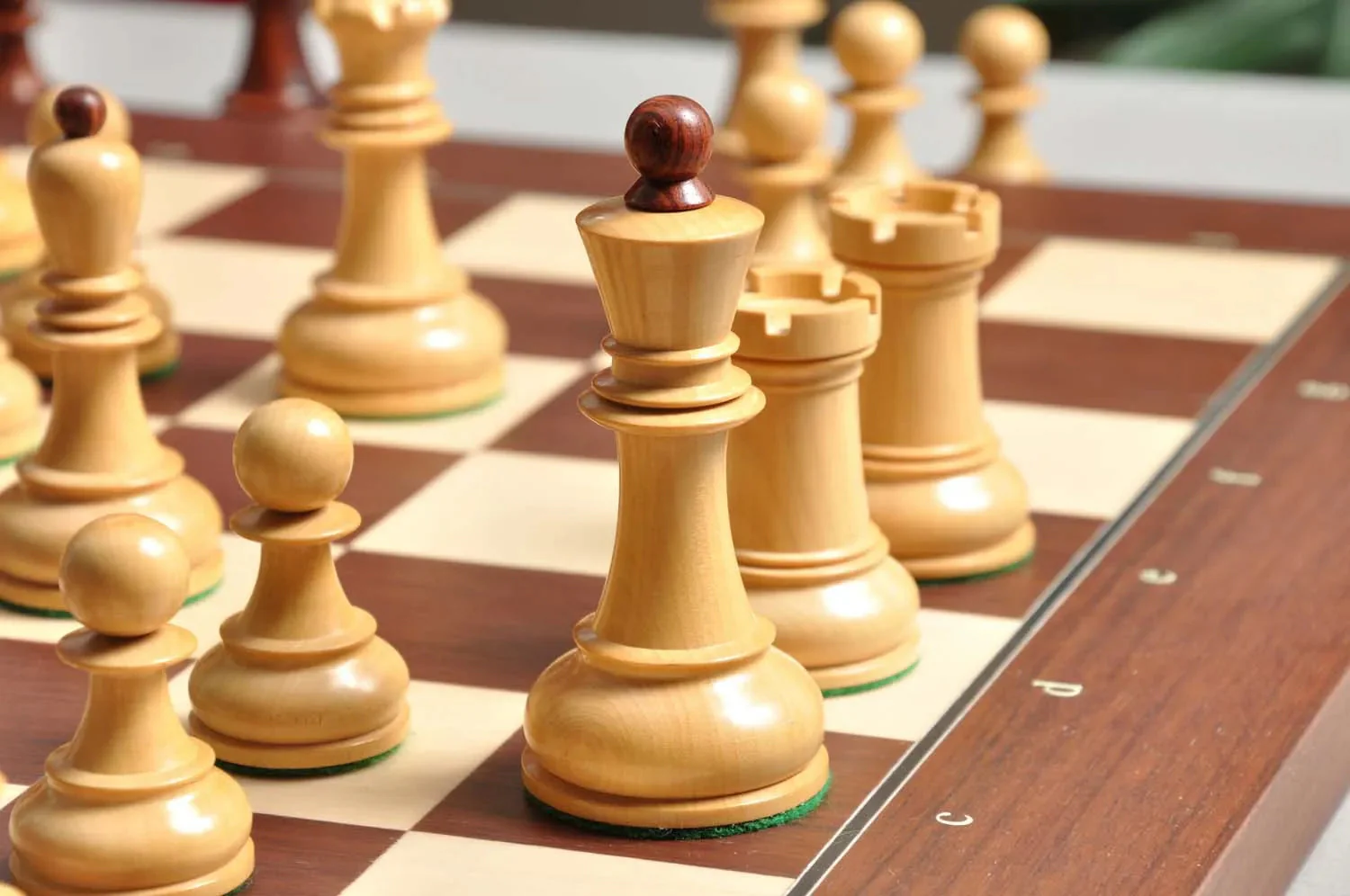DGT Projects - USB Rosewood Board with Dubrovnik Chess Pieces - Image 3