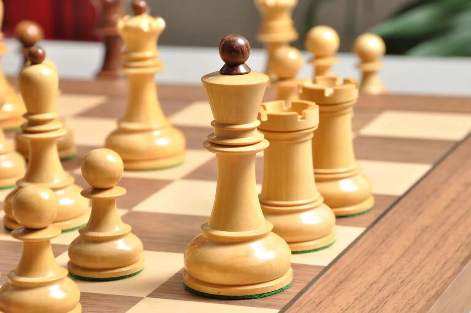 DGT Projects - USB Walnut Board with Dubrovnik Chess Pieces - Image 5