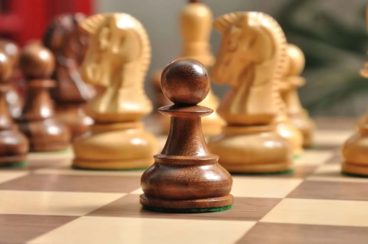 DGT Projects - USB Walnut Board with Dubrovnik Chess Pieces - Image 7