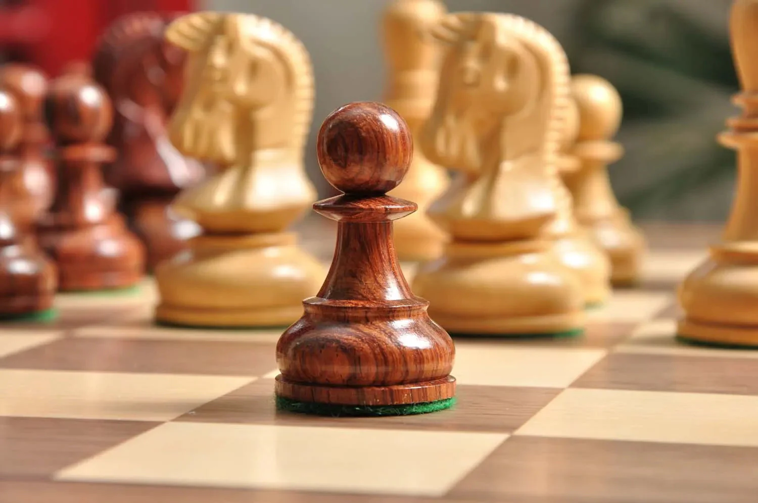 DGT Projects - USB Walnut Board with Dubrovnik Chess Pieces - Image 5