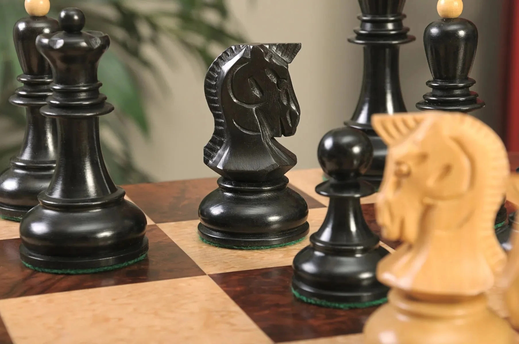 Ebonized Boxwood and Natural Boxwood - Image 12