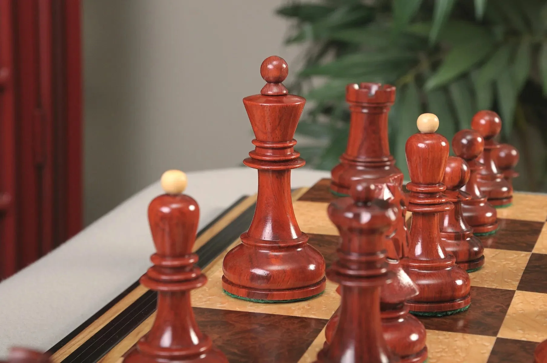 Blood Rosewood and Natural Boxwood - Image 9