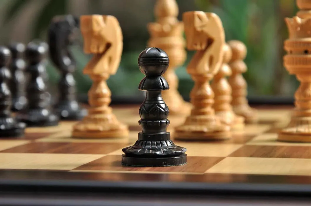 Genuine Ebony and Natural Boxwood - Image 4
