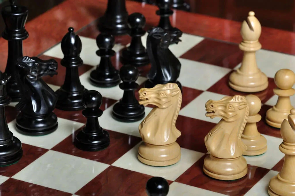 Ebonized Boxwood and Natural Boxwood - Image 9