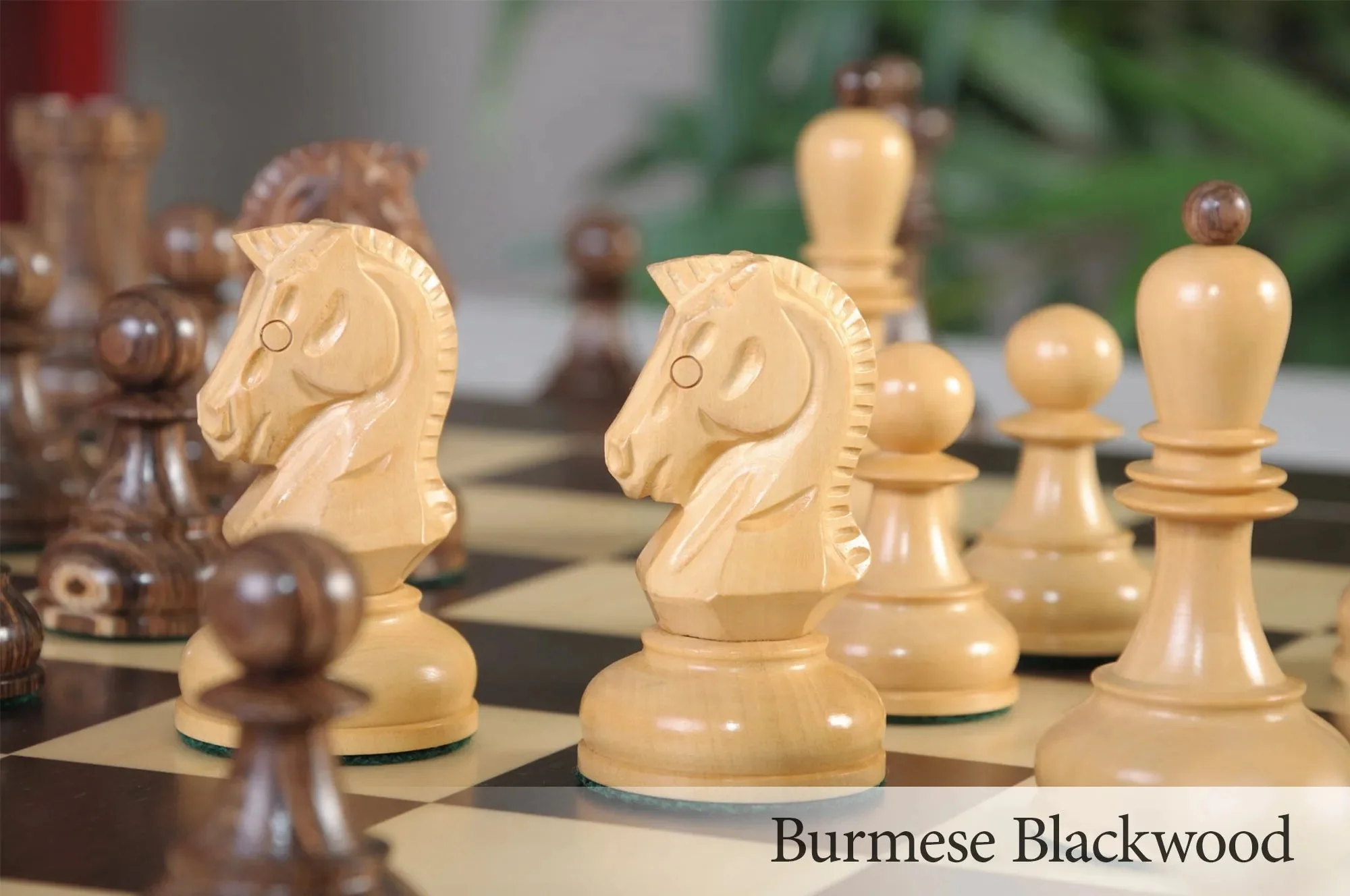 Burmese Blackwood and Natural Boxwood - Image 6