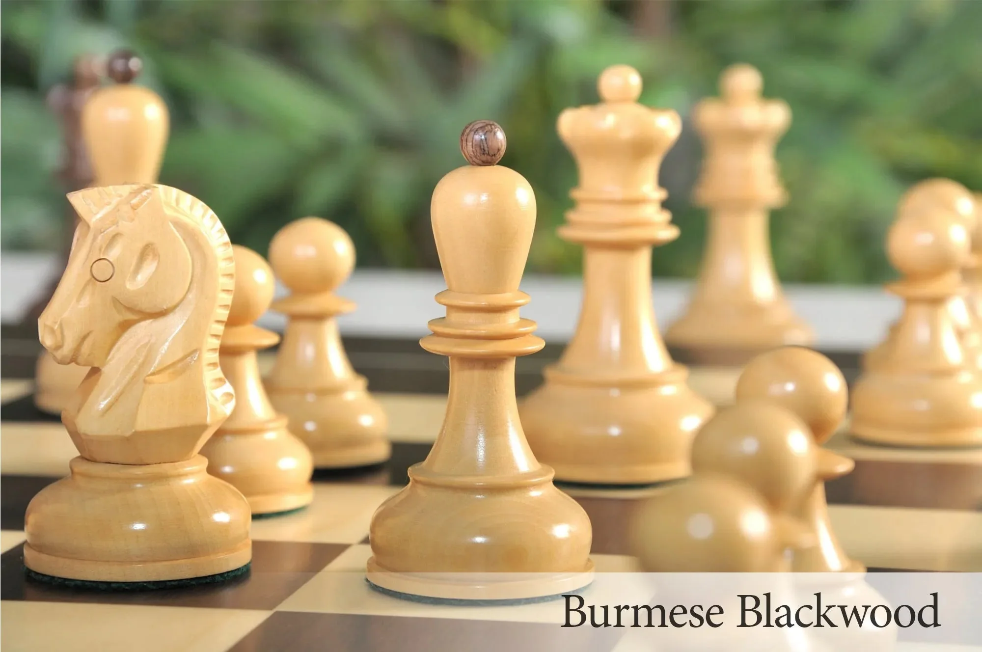Burmese Blackwood and Natural Boxwood - Image 7