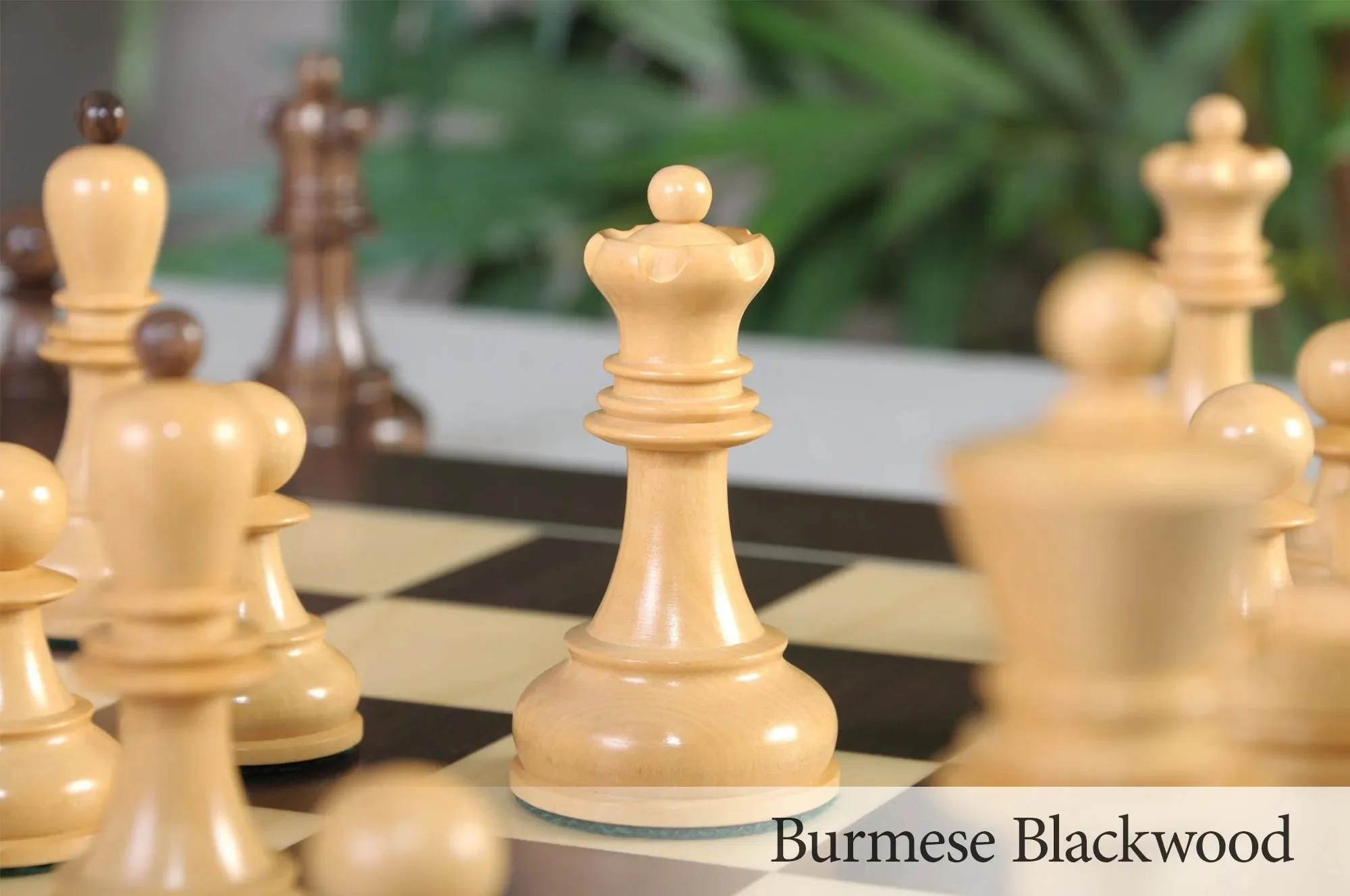 Burmese Blackwood and Natural Boxwood - Image 8